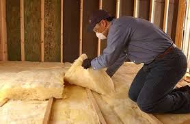 Best Eco-Friendly or Green Insulation Solutions  in Edmonston, MD