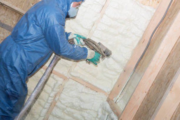 Best Blown-In Insulation  in Edmonston, MD